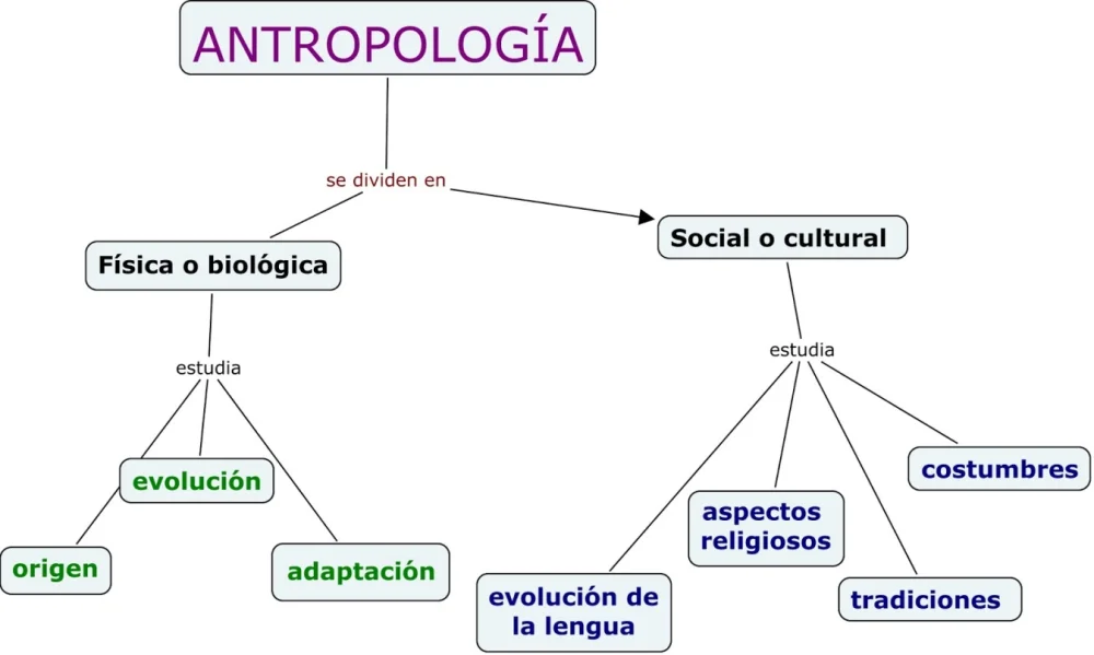 Diferencia entre sociología y antropología