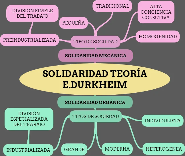 Diferencia entre solidaridad mecánica y orgánica