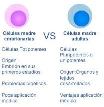 Diferencia entre las células madre fetales y embrionarias