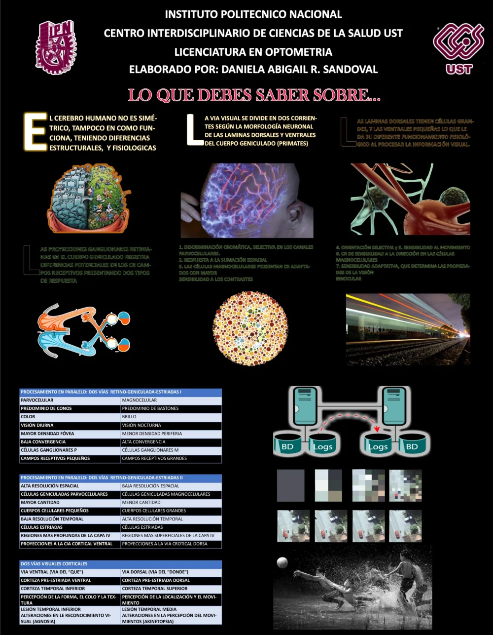 Diferencia entre las células magno y parvo