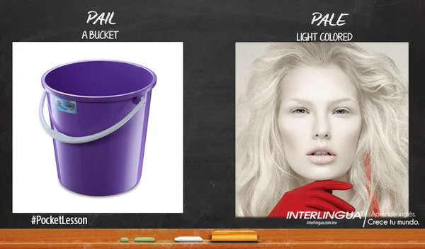 Diferencia entre Pale y Pail