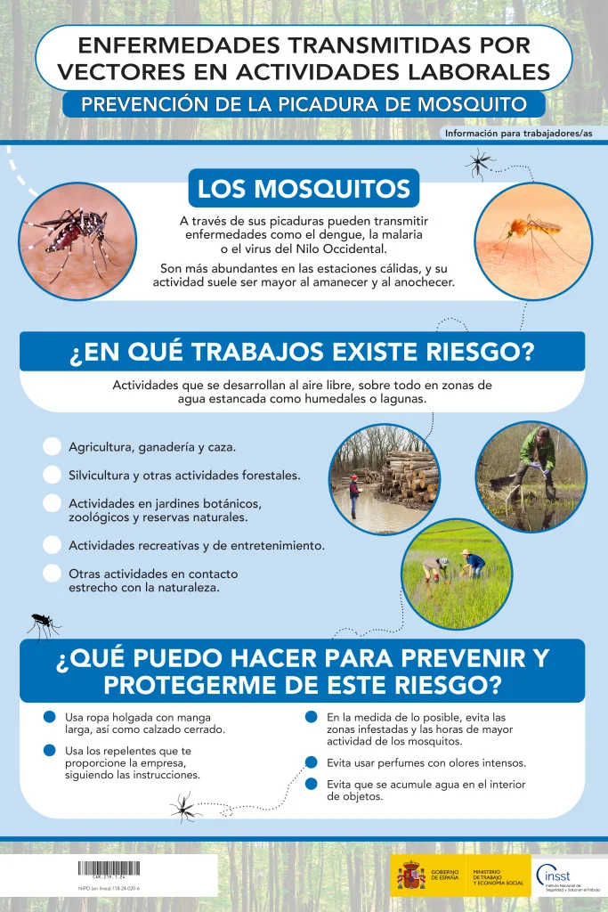 Diferencia entre las enfermedades transmitidas por el agua y las transmitidas por vectores