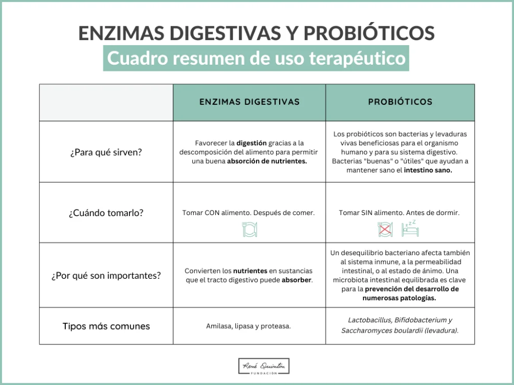 Diferencia entre las enzimas pancreáticas y las enzimas digestivas