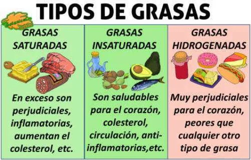 Diferencia entre las grasas láuricas y no láuricas