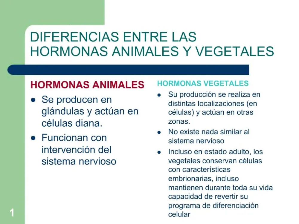 Diferencia entre las hormonas animales y vegetales