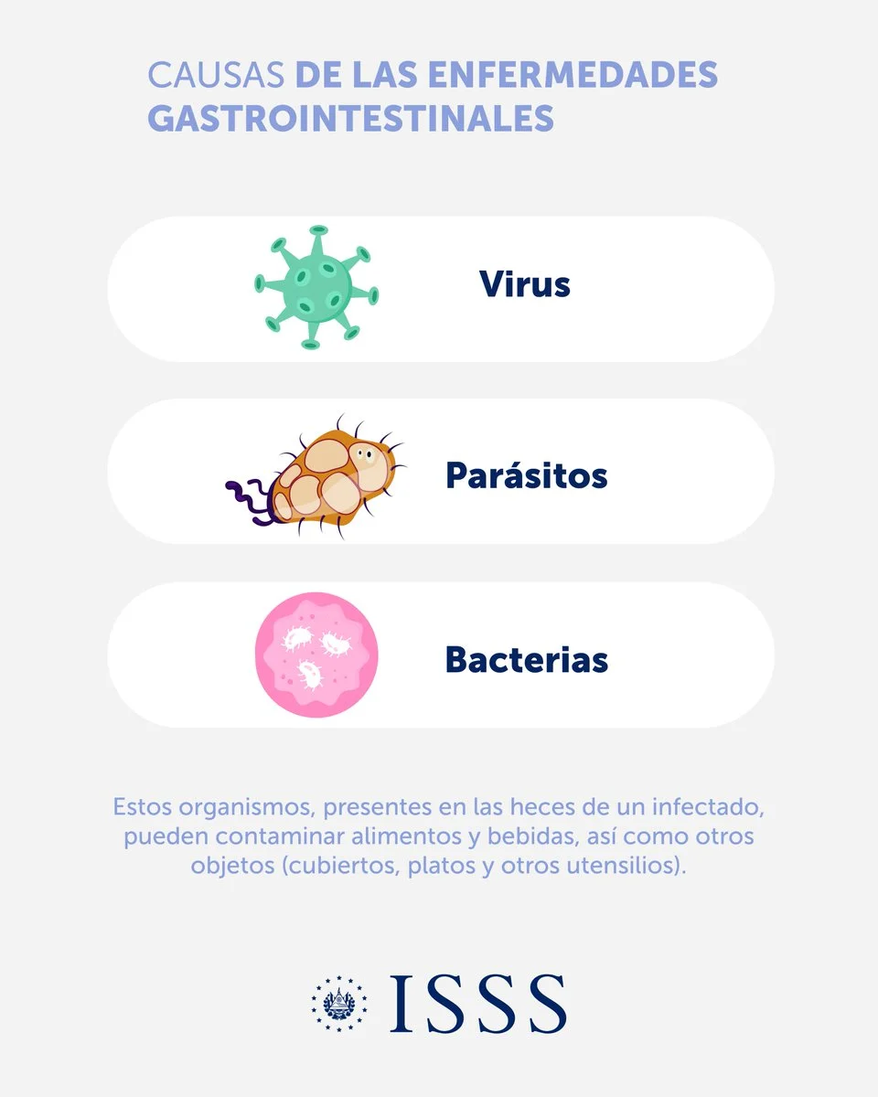 Diferencia entre parásitos y bacterias