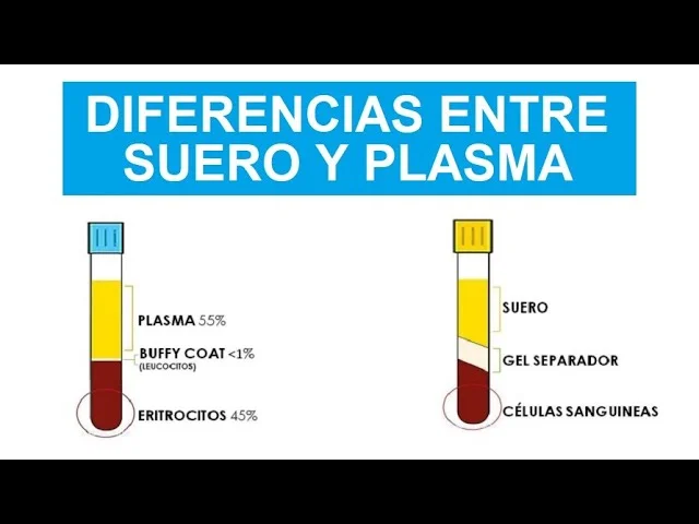Diferencia entre suero y plasma