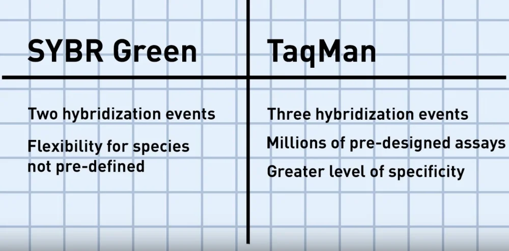Diferencia entre SYBR Green y Taqman