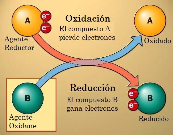 Diferencia entre las reacciones electroquímicas de oxidación y reducción