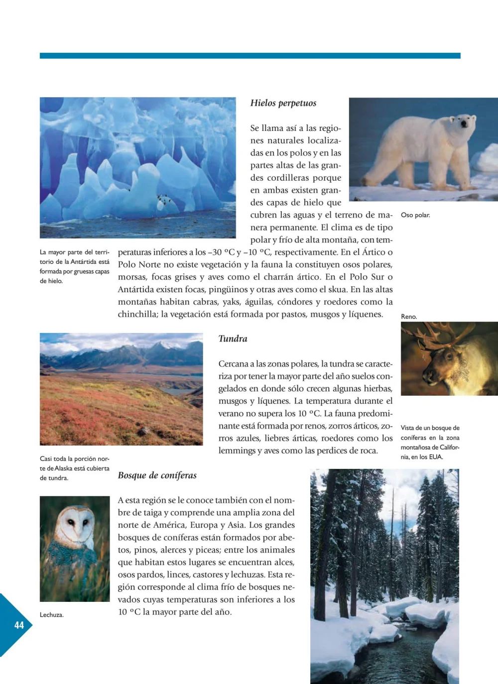 Diferencia entre las regiones polares y la tundra