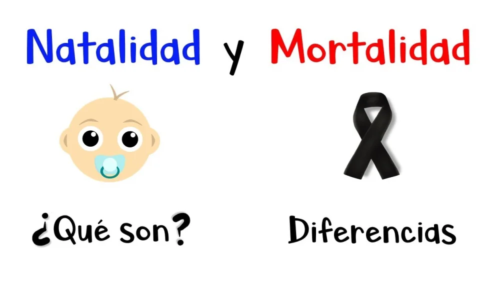 Diferencia entre tasa de natalidad y tasa de fertilidad