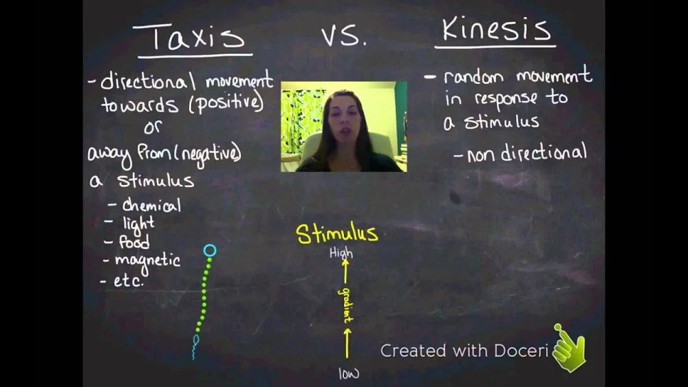 Diferencia entre taxis y kinesis