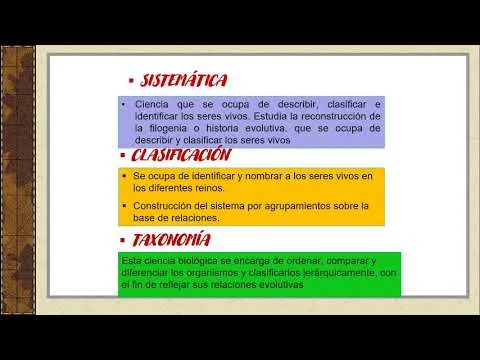 Diferencia entre taxonomía y sistemática