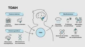 Diferencia entre TDA y TDAH