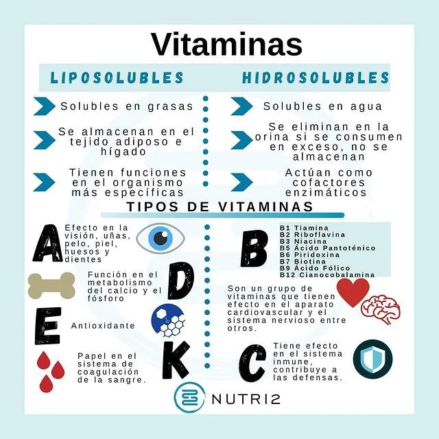 Diferencia entre las vitaminas liposolubles y las hidrosolubles