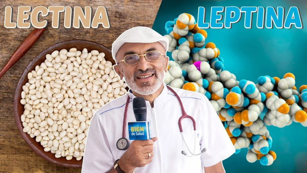 Diferencia entre lectina y lecitina