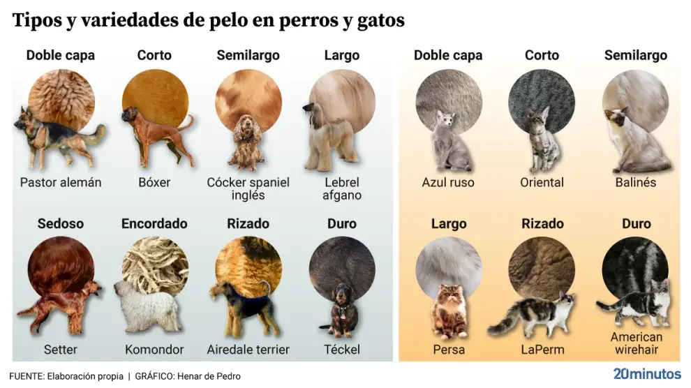 Diferencia entre pelo y pelaje
