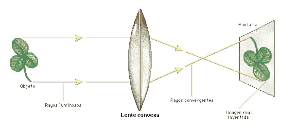 Diferencia entre lente cóncava y convexa