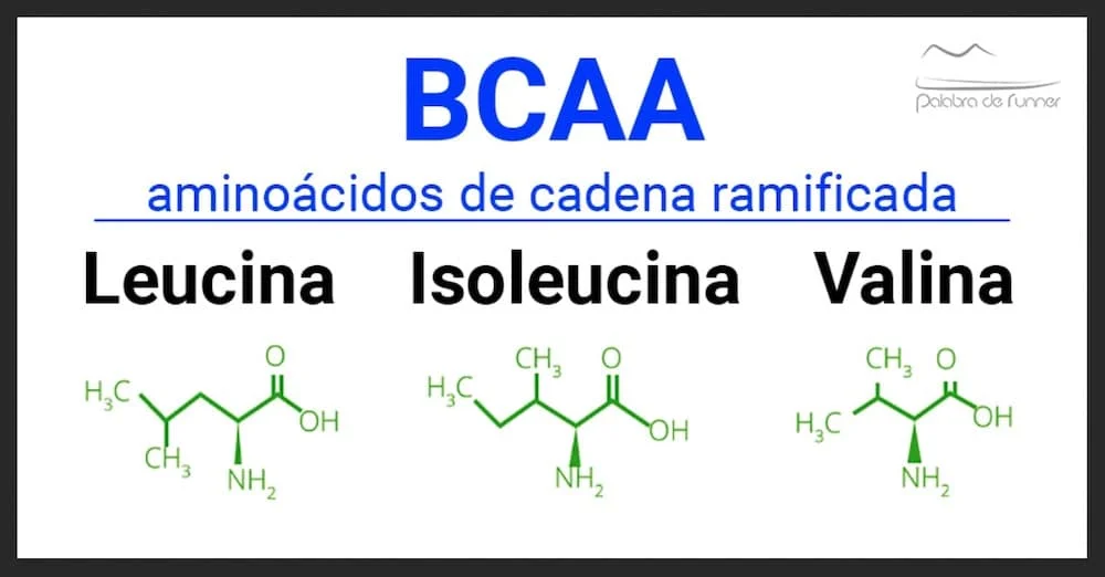 Diferencia entre leucina e isoleucina