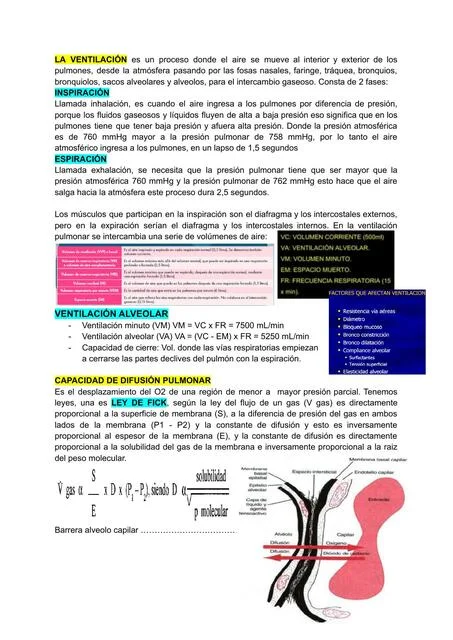 Diferencia entre perfusión y difusión