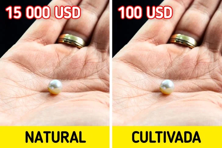Diferencia entre perla y nácar