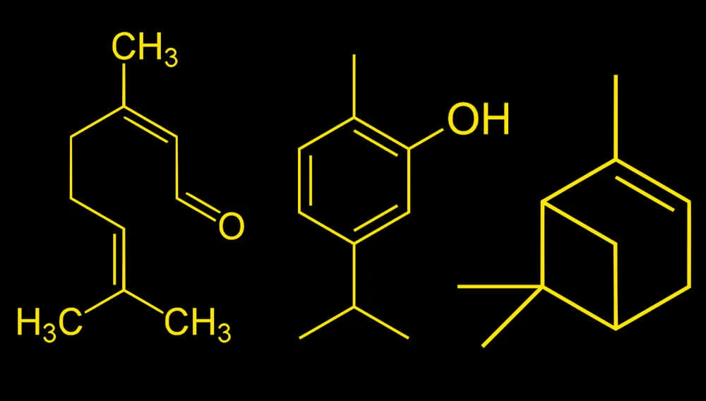 Diferencia entre terpenos y terpenoides