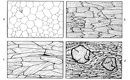 Diferencia entre petrografía y petrogénesis