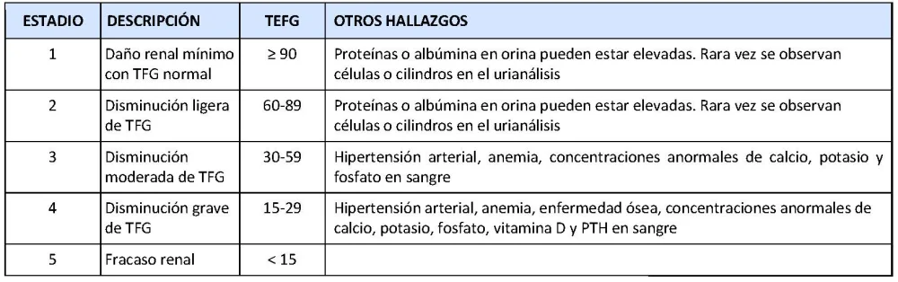 Diferencia entre TFG y TFGe