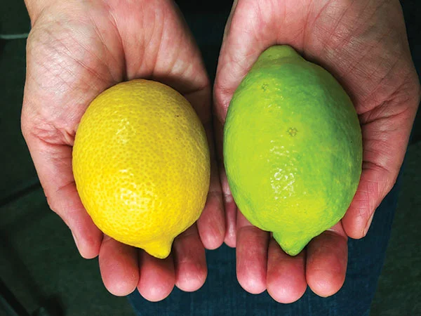 Diferencia entre lima y limón
