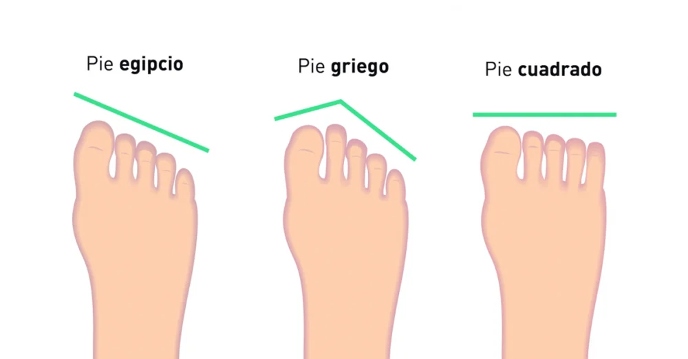 Diferencia entre pies y pie