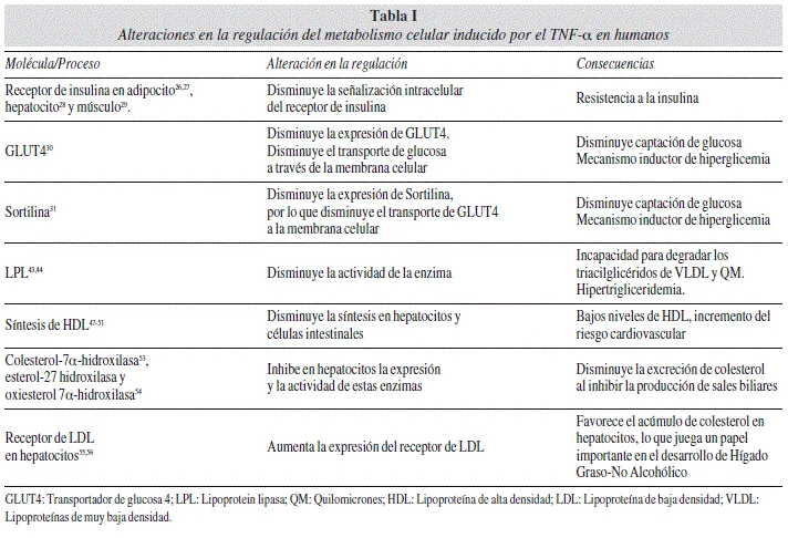 Diferencia entre TNF alfa y beta