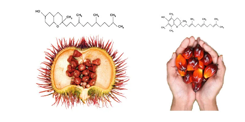 Diferencia entre tocotrienoles y tocoferoles