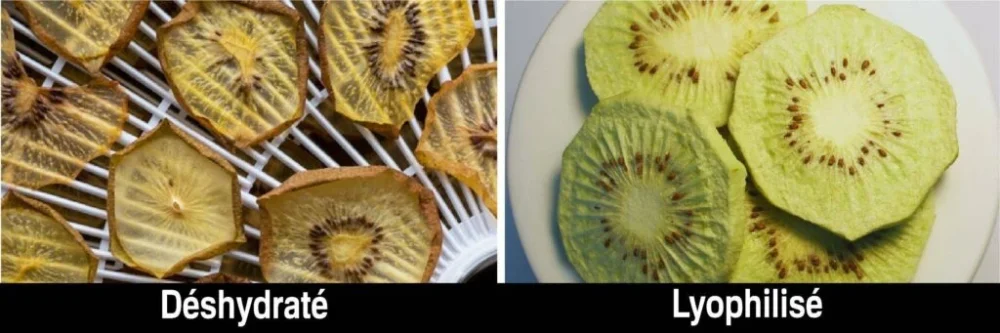 Diferencia entre liofilizado y deshidratado