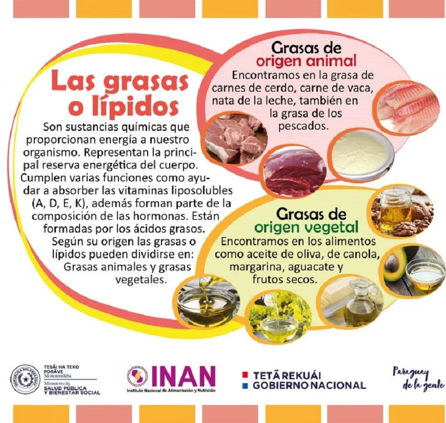 Diferencia entre lípidos y colesterol