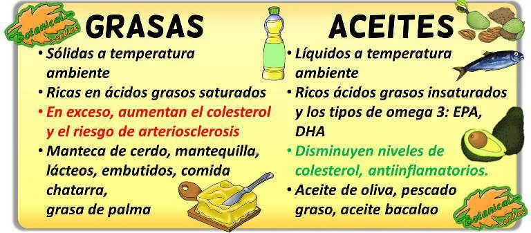 Diferencia entre lípidos y grasas