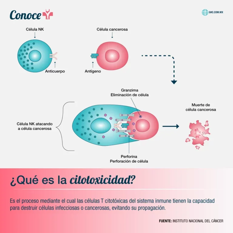 Diferencia entre toxicidad y citotoxicidad