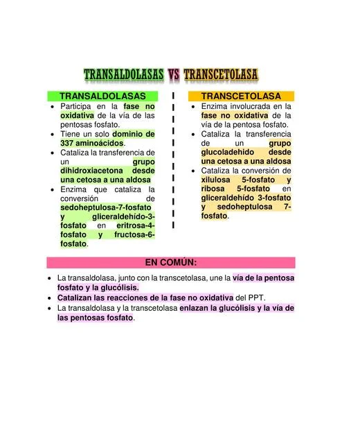 Diferencia entre transcetolasa y transaldolasa