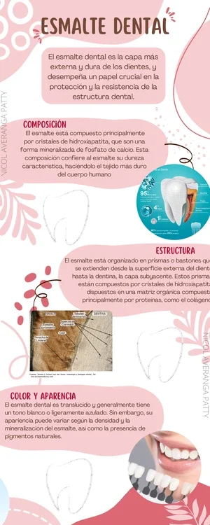 Diferencia entre plasmólisis y deplasmólisis