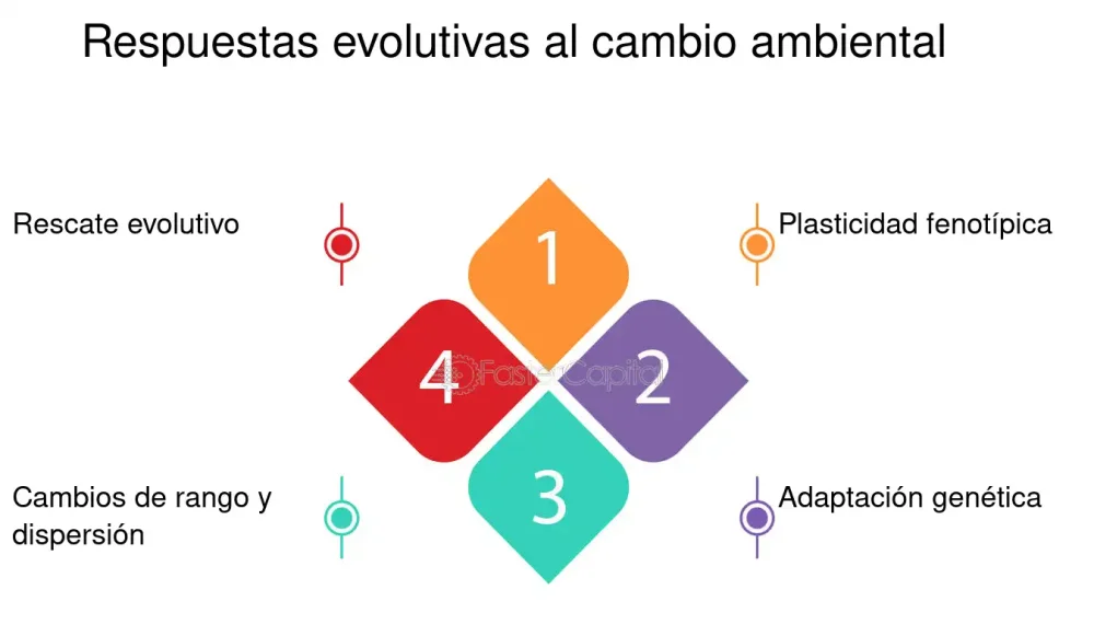 Diferencia entre plasticidad fenotípica y adaptación