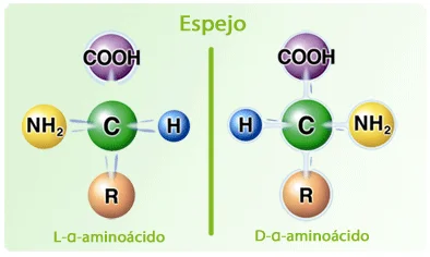 Diferencia entre los aminoácidos L y D