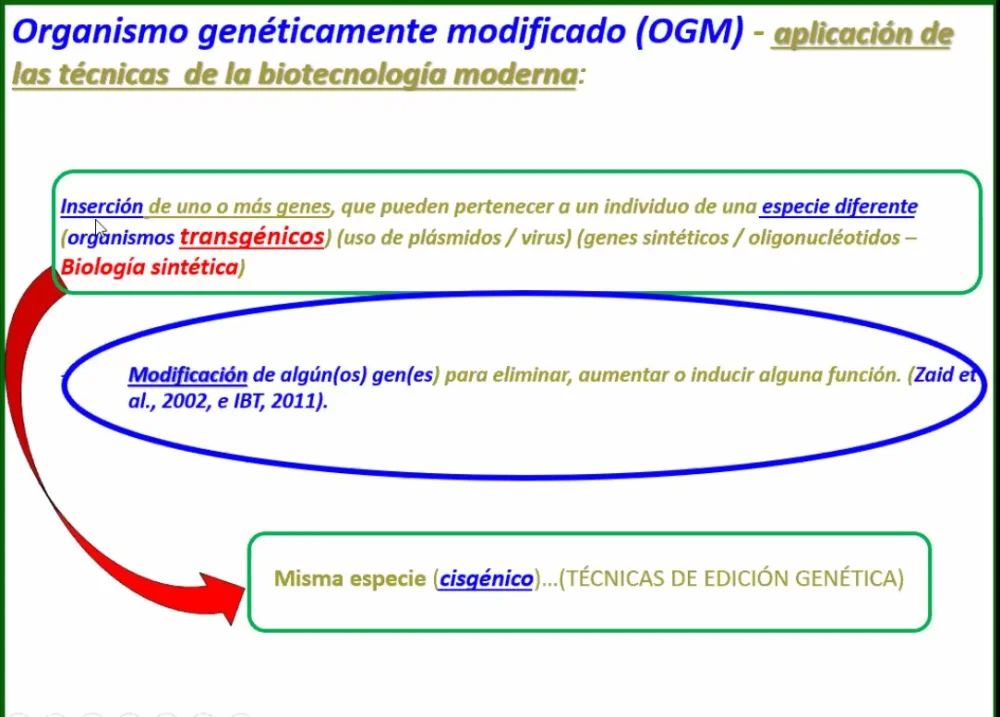 Diferencia entre transgénico y cisgénico