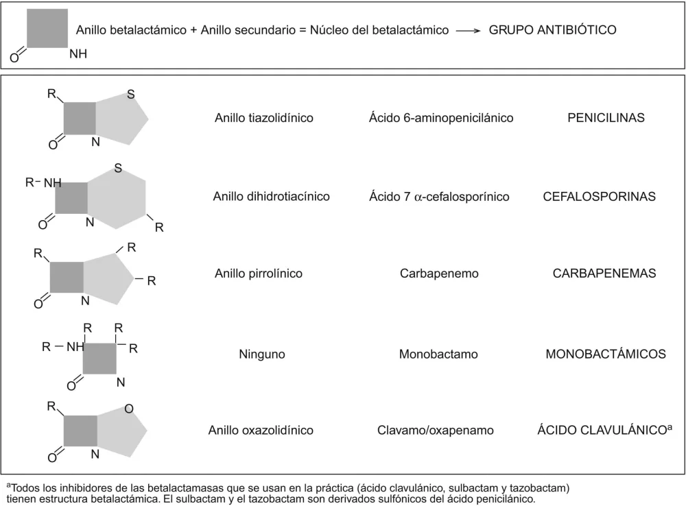 Diferencia entre los antibióticos betalactámicos y no betalactámicos