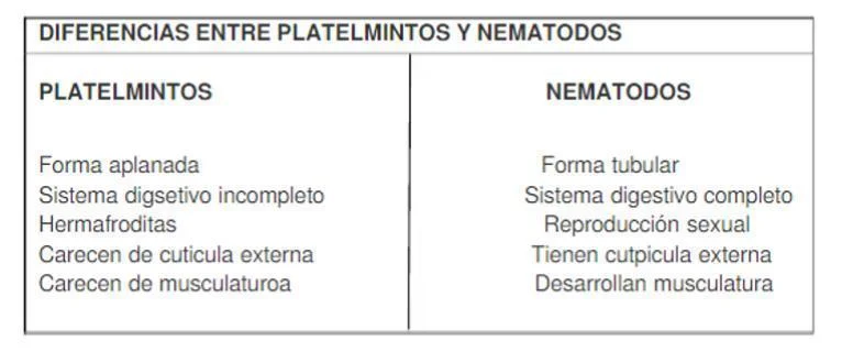 Diferencia entre platelmintos y nematodos