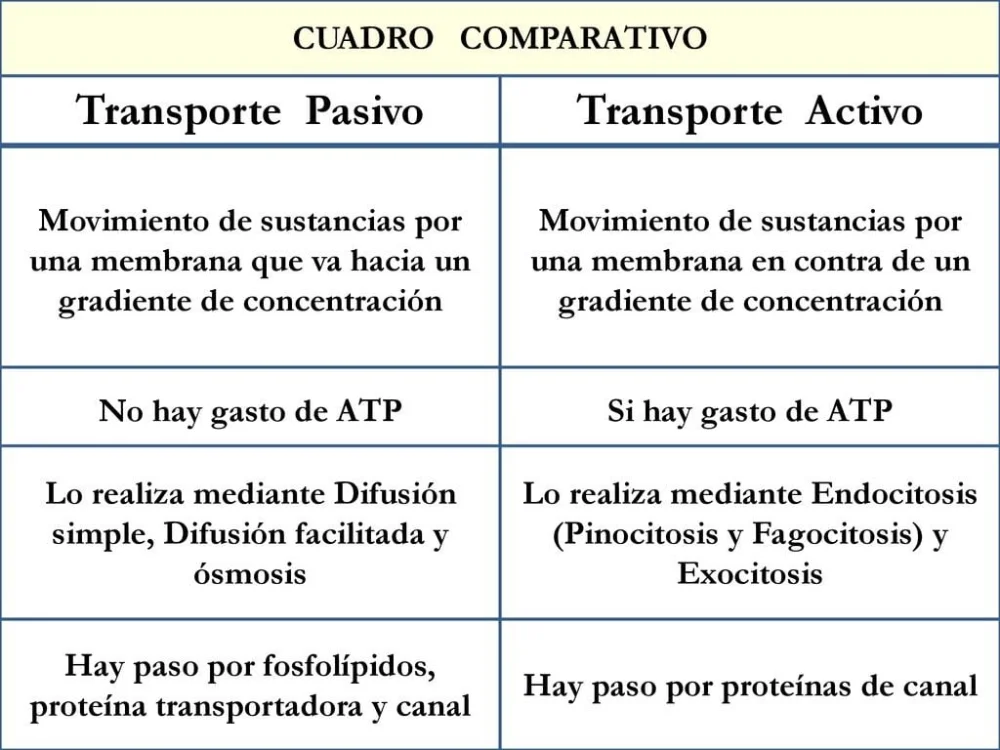 Diferencia entre transporte activo y pasivo