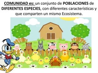 Diferencia entre población y comunidad