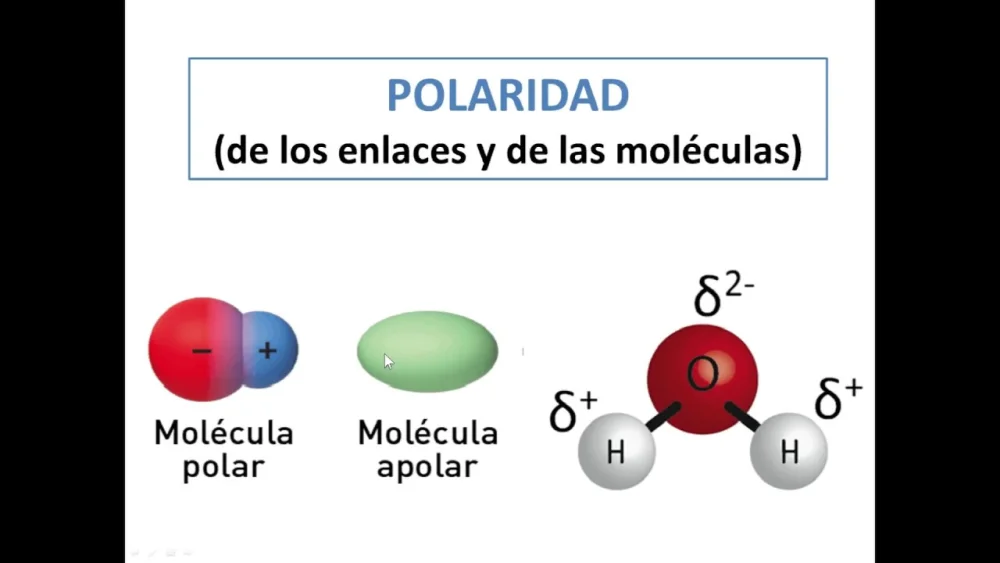Diferencia entre polaridad de enlace y polaridad molecular