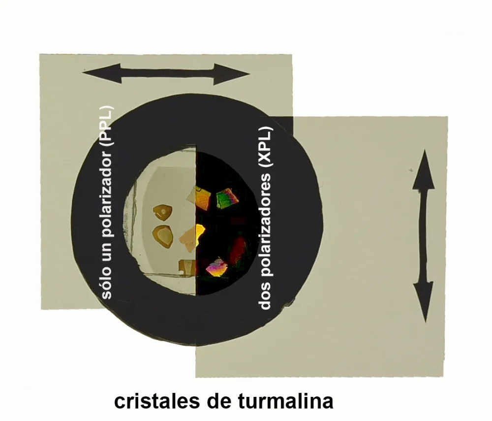 Diferencia entre polarizador y analizador