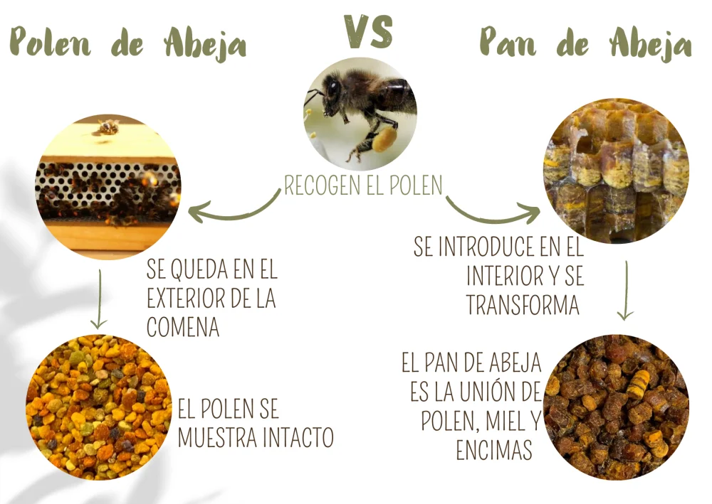 Diferencia entre polen y néctar
