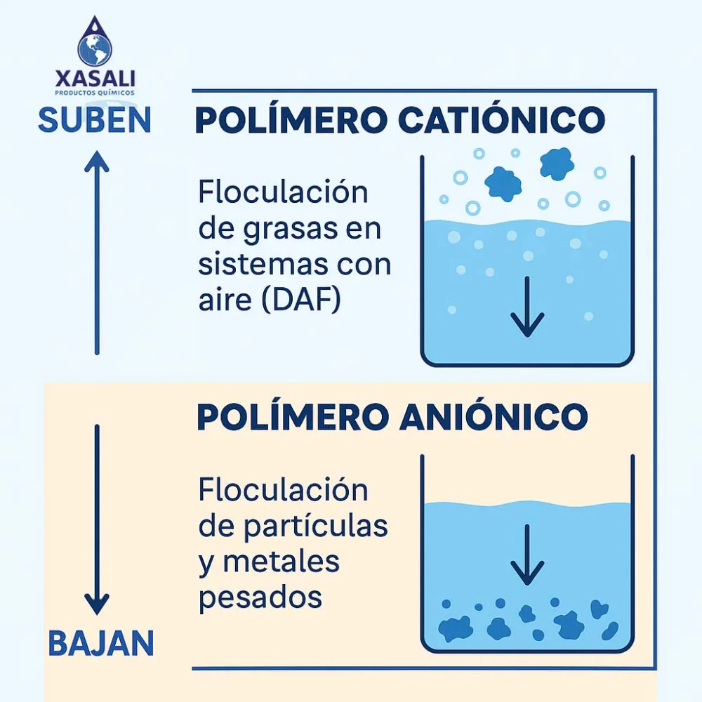 Diferencia entre polielectrolitos aniónicos y catiónicos