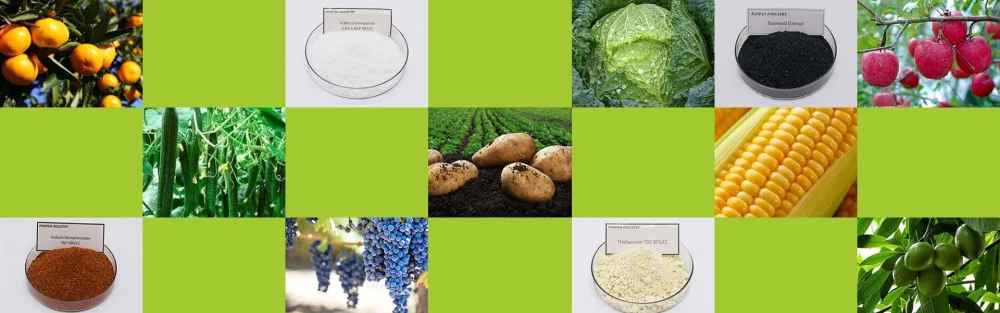 Diferencia entre trifloxistrobina y azoxistrobina